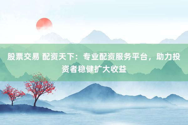 股票交易 配资天下：专业配资服务平台，助力投资者稳健扩大收益