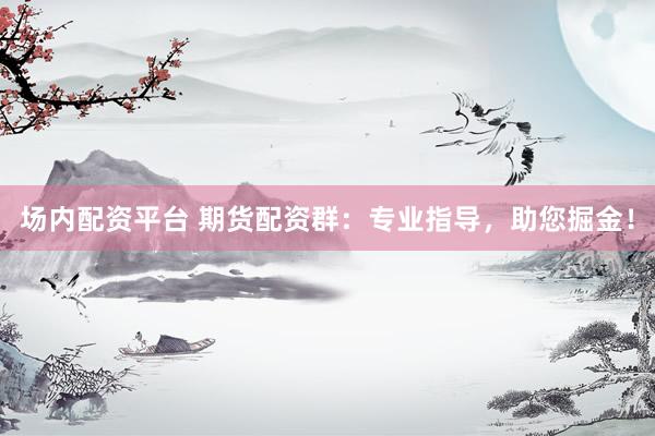 场内配资平台 期货配资群：专业指导，助您掘金！