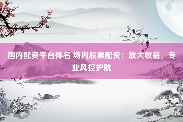 国内配资平台排名 场内股票配资：放大收益，专业风控护航