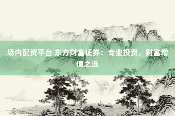 场内配资平台 东方财富证券：专业投资，财富增值之选
