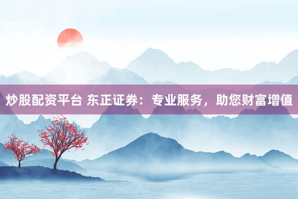 炒股配资平台 东正证券：专业服务，助您财富增值