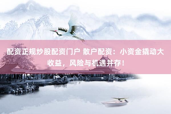 配资正规炒股配资门户 散户配资：小资金撬动大收益，风险与机遇并存！