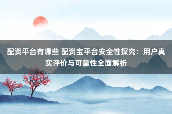 配资平台有哪些 配资宝平台安全性探究：用户真实评价与可靠性全面解析