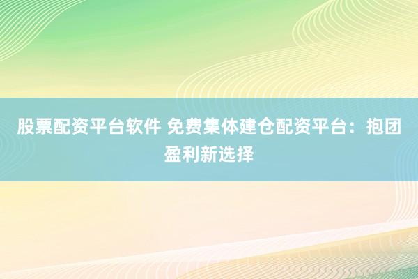 股票配资平台软件 免费集体建仓配资平台：抱团盈利新选择