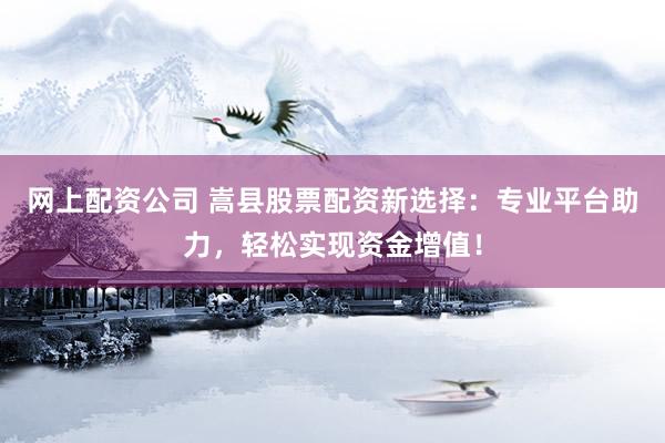 网上配资公司 嵩县股票配资新选择:专业平台助力,轻松实现资金增值!