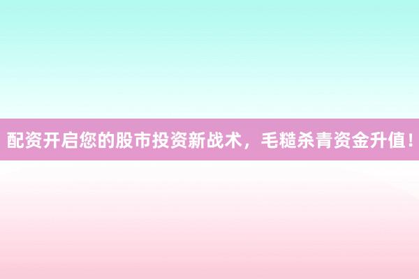 配资开启您的股市投资新战术,毛糙杀青资金升值!