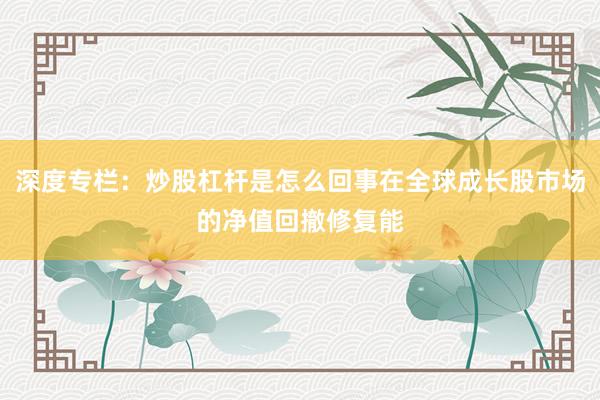 深度专栏：炒股杠杆是怎么回事在全球成长股市场的净值回撤修复能